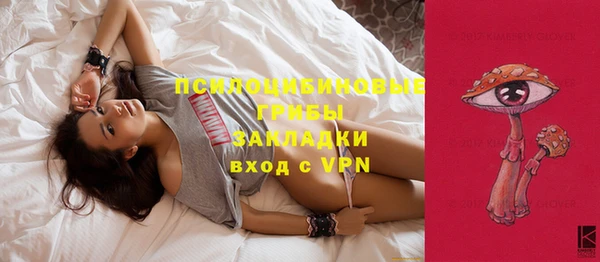 СК Волосово