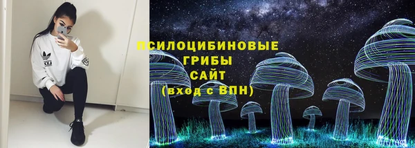 СК Волосово